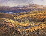 unknow artist Point Lobos in the Springtime oil painting on canvas